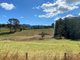 Photo - Lot 8 Alfred Road, Killabakh NSW 2429 - Image 8