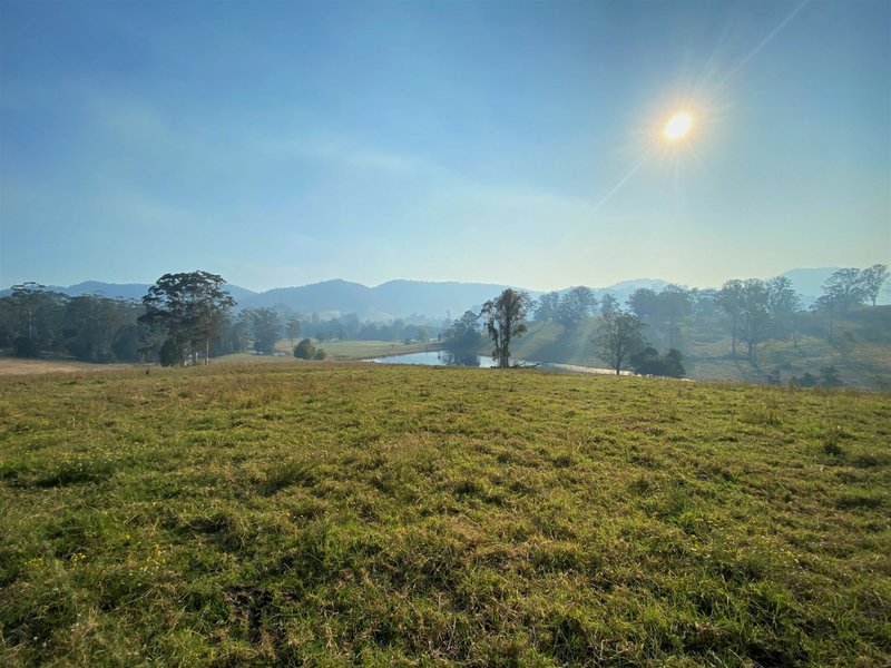 Photo - Lot 8 Alfred Road, Killabakh NSW 2429 - Image 9