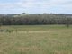 Photo - Lot 8 Broadlea Rise, Nannup WA 6275 - Image 1