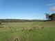 Photo - Lot 8 Broadlea Rise, Nannup WA 6275 - Image 7