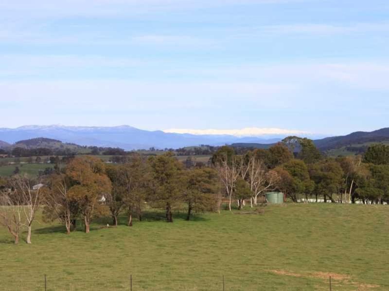 Photo - Lot 8 Chaffey Close, Tumbarumba NSW 2653 - Image 3