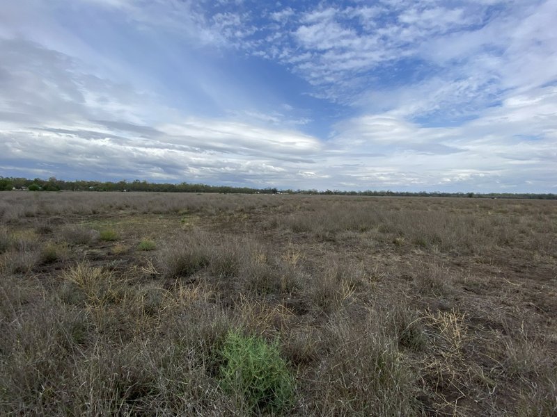 Photo - Lot 8 Clayton Road, Roma QLD 4455 - Image 4