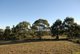 Photo - Lot 8 Clover Court, Carlton TAS 7173 - Image 1