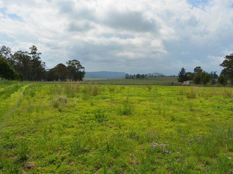 Photo - Lot 8 Oak Street, Tannymorel QLD 4372 - Image 4