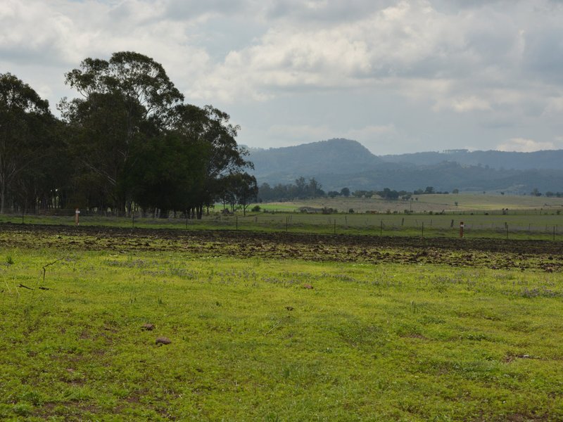 Photo - Lot 8 Oak Street, Tannymorel QLD 4372 - Image 5