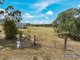 Photo - Lot 8 Rosenthal Road, Rosenthal Heights QLD 4370 - Image 3