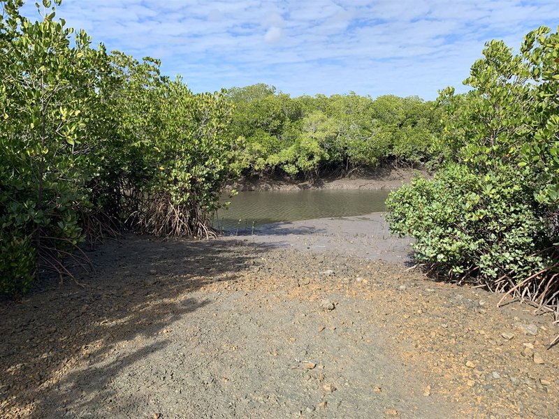 Photo - Lot 8 The Esplanade, Midge Point QLD 4799 - Image 2