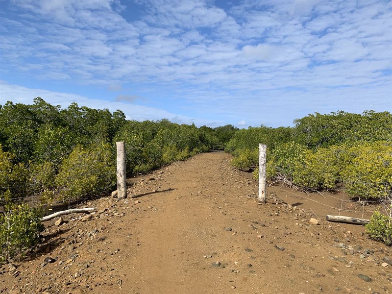 Photo - Lot 8 The Esplanade, Midge Point QLD 4799 - Image 16