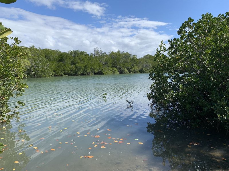 Photo - Lot 8 The Esplanade, Midge Point QLD 4799 - Image 19