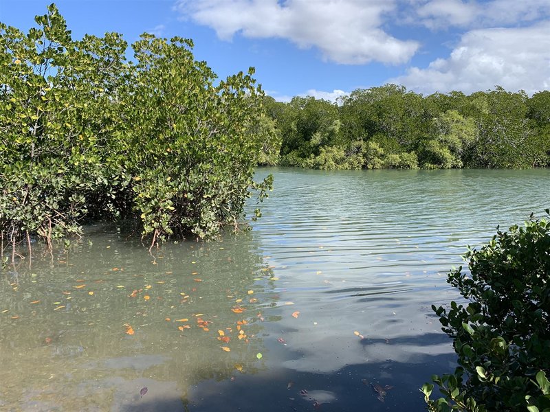 Photo - Lot 8 The Esplanade, Midge Point QLD 4799 - Image 20