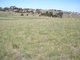 Photo - Lot 8 Valley View Close, Sorell TAS 7172 - Image 4