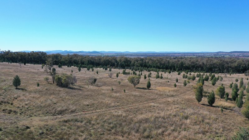 Photo - Lot 80 8432 Black Stump Way, Tambar Springs NSW 2381 - Image 9