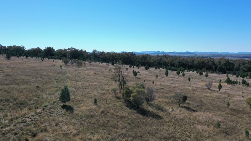 Photo - Lot 80 8432 Black Stump Way, Tambar Springs NSW 2381 - Image 11