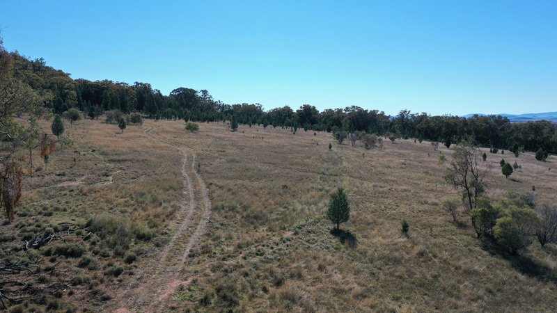 Photo - Lot 80 8432 Black Stump Way, Tambar Springs NSW 2381 - Image 12