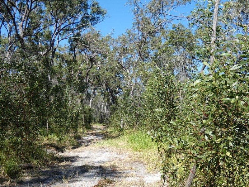 Photo - Lot 80 Mitchell Road, Mount Maria QLD 4674 - Image 4