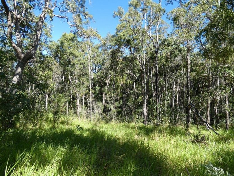 Photo - Lot 80 Mitchell Road, Mount Maria QLD 4674 - Image 12