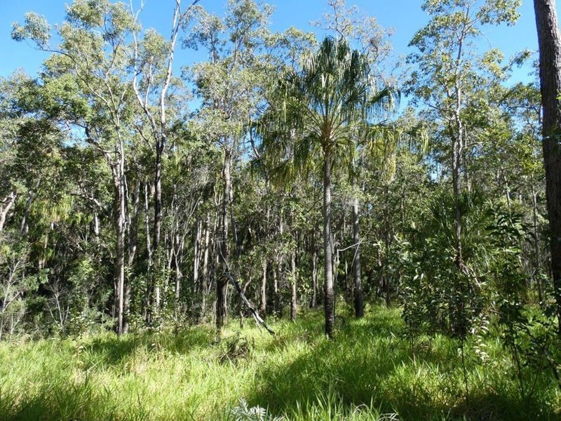 Photo - Lot 80 Mitchell Road, Mount Maria QLD 4674 - Image 15