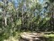 Photo - Lot 80 Mitchell Road, Mount Maria QLD 4674 - Image 17