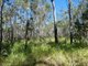 Photo - Lot 80 Mitchell Road, Mount Maria QLD 4674 - Image 25