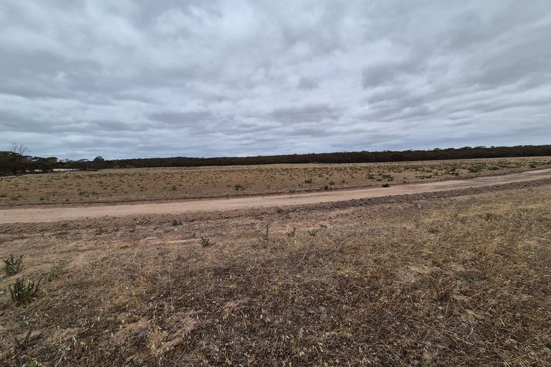 Photo - Lot 80/Hopetoun-Ravensthorpe Road, Ravensthorpe WA 6346 - Image 4