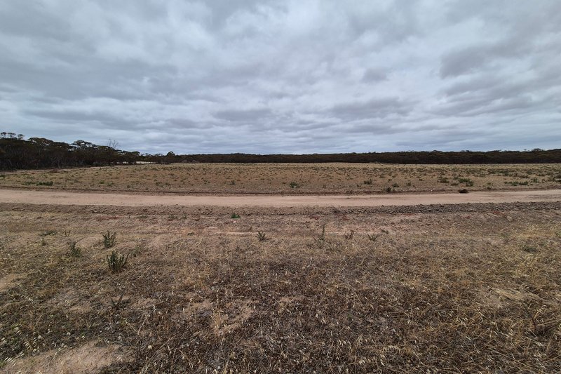 Photo - Lot 80/Hopetoun-Ravensthorpe Road, Ravensthorpe WA 6346 - Image 6