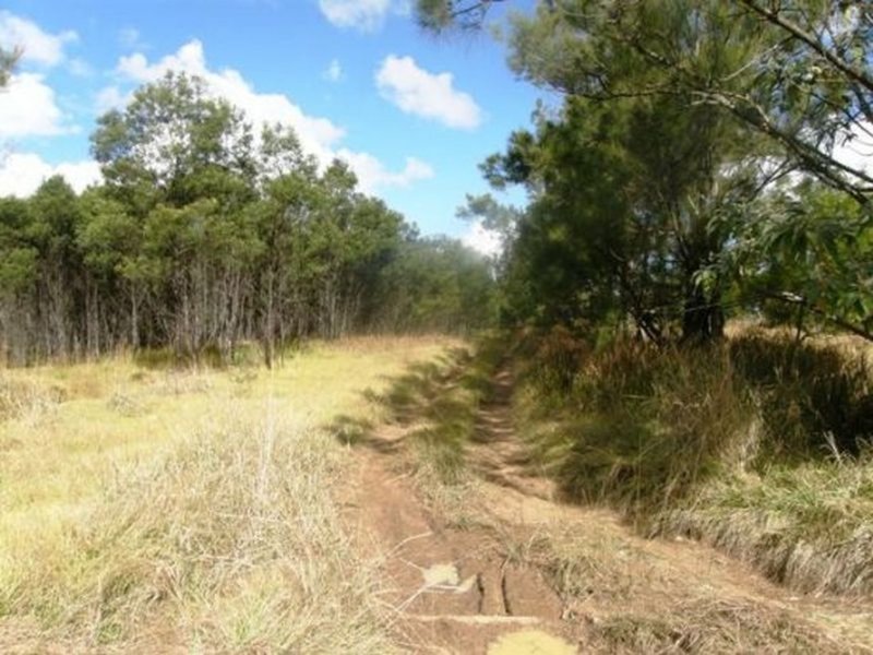 Photo - Lot 81 Parker Road, Lanitza NSW 2460 - Image 2