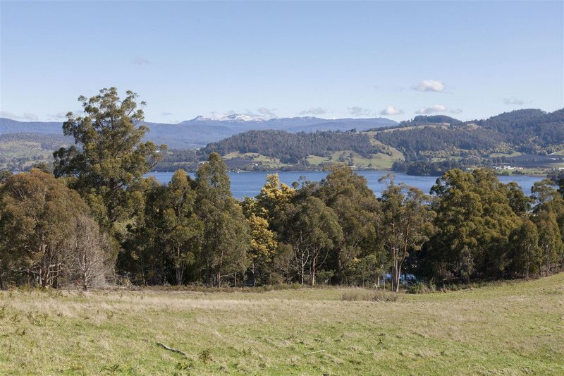 Photo - Lot 8/1640 Cygnet Coast Road, Cradoc TAS 7109 - Image 3