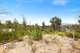 Photo - Lot 82 DP 819379 438 Cobargo Bermagui Road, Coolagolite NSW 2550 - Image 1