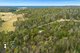 Photo - Lot 82 DP 819379 438 Cobargo Bermagui Road, Coolagolite NSW 2550 - Image 5