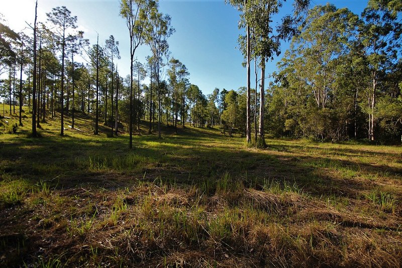 Photo - LOT 82 Neerdie Road, Glenwood QLD 4570 - Image 2