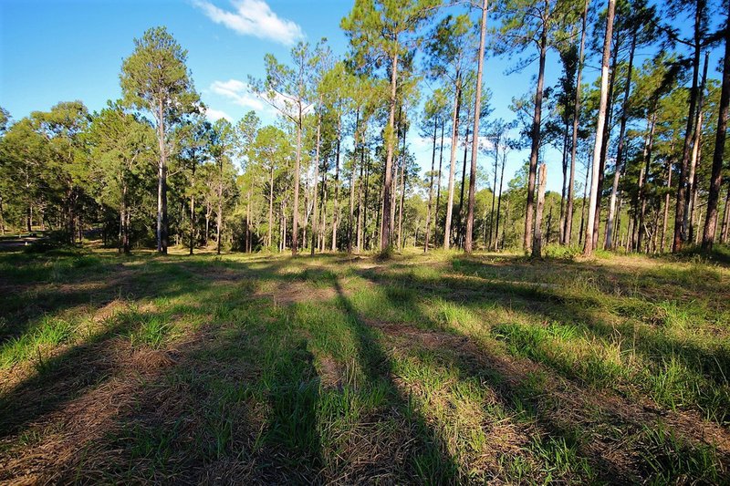 Photo - LOT 82 Neerdie Road, Glenwood QLD 4570 - Image 4