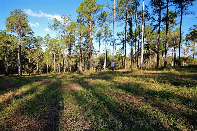 Photo - LOT 82 Neerdie Road, Glenwood QLD 4570 - Image 7