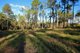 Photo - LOT 82 Neerdie Road, Glenwood QLD 4570 - Image 7