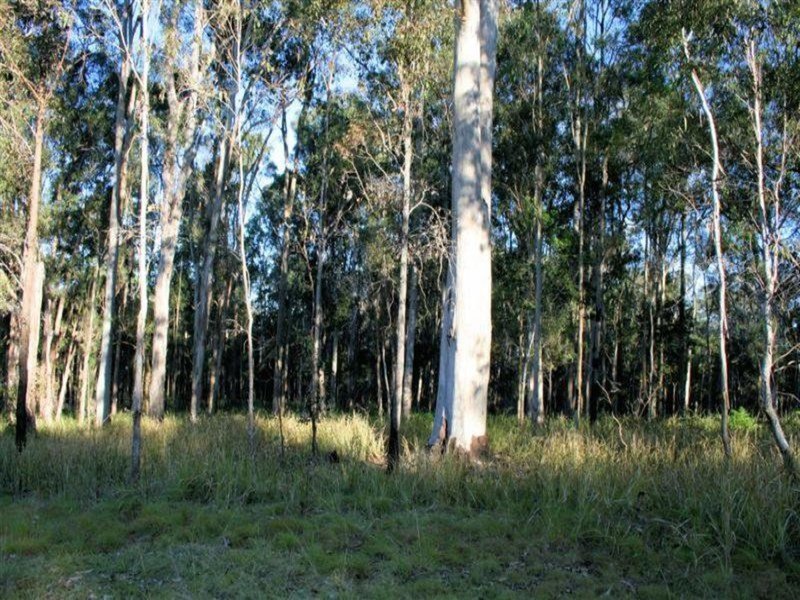 Photo - Lot 82 Parker Road, Lanitza NSW 2460 - Image 4