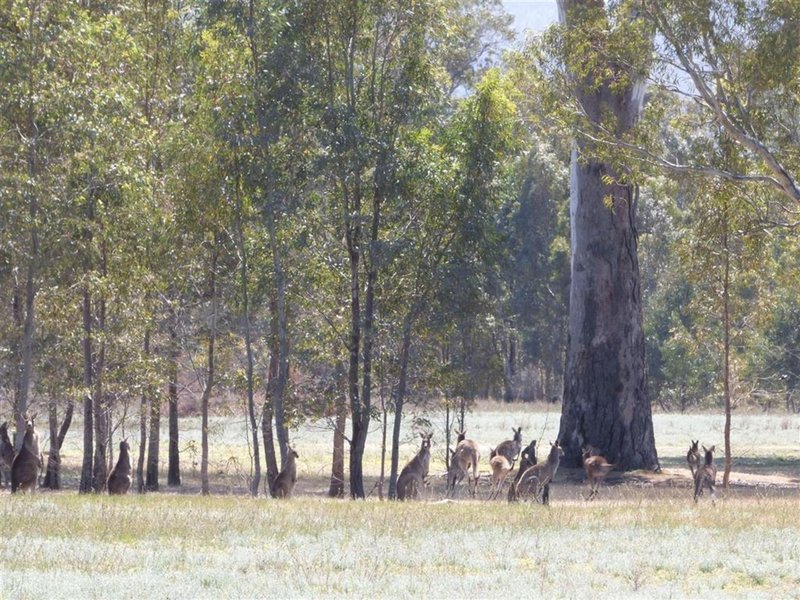 Photo - Lot 8/3006 Northern Grampians Road, Wartook VIC 3401 - Image 16