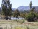 Photo - Lot 8/3006 Northern Grampians Road, Wartook VIC 3401 - Image 19