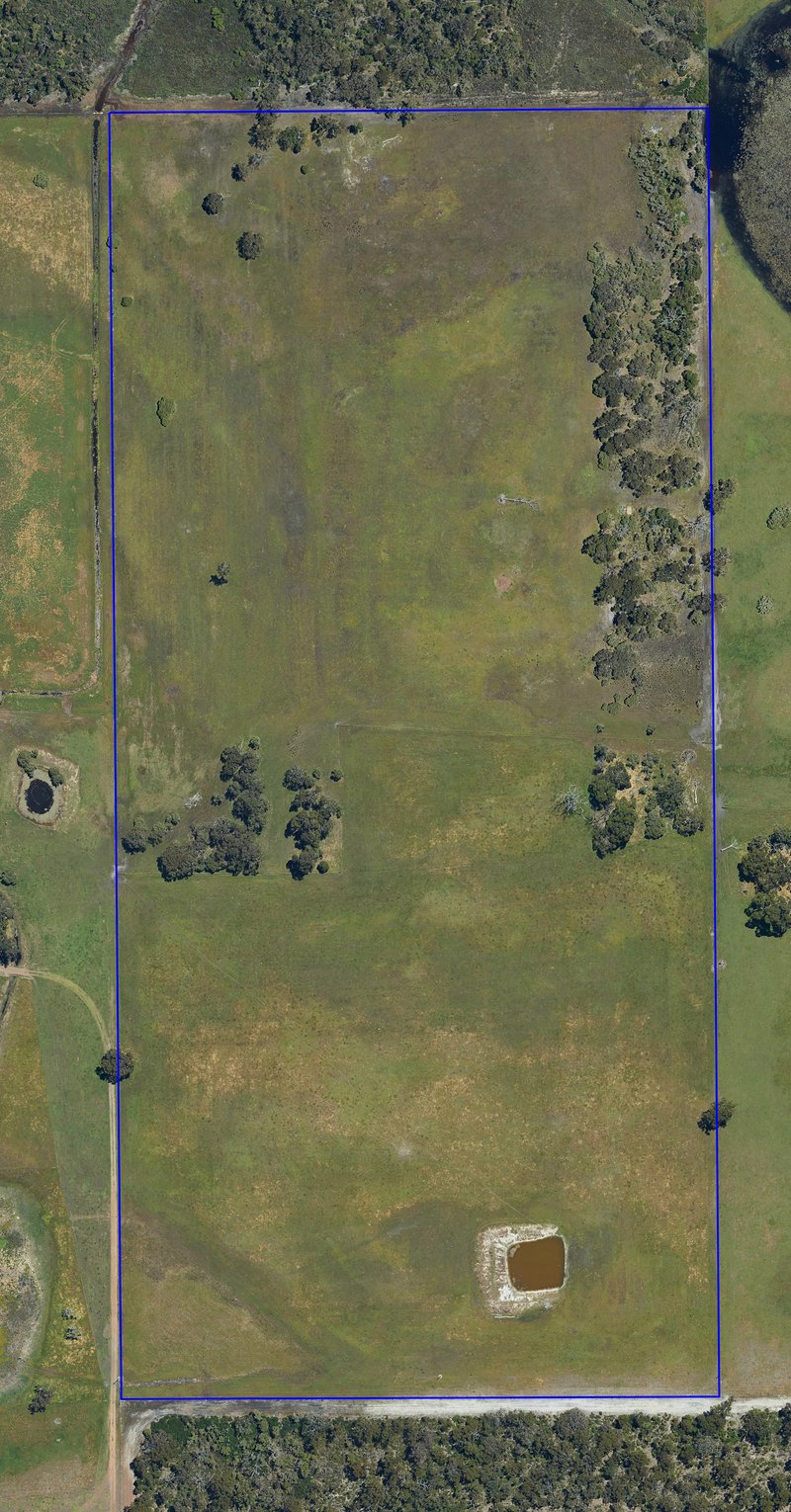 Photo - Lot 8518 Palgarrup Road (West Palgarup) , Manjimup WA 6258 - Image 4