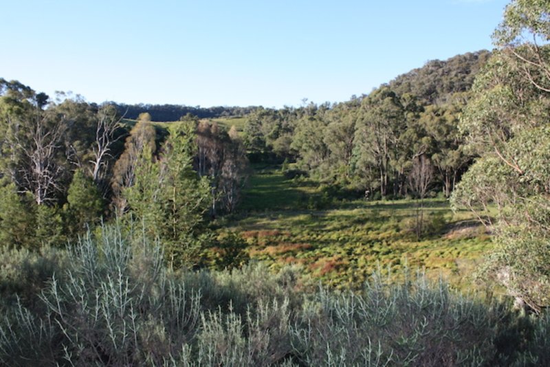 Photo - Lot 8/60 Megalong Lane, Canyonleigh NSW 2577 - Image 7