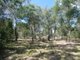 Photo - Lot 87 Bischoffs Road, Euleilah QLD 4674 - Image 4