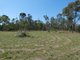 Photo - Lot 87 Bischoffs Road, Euleilah QLD 4674 - Image 16