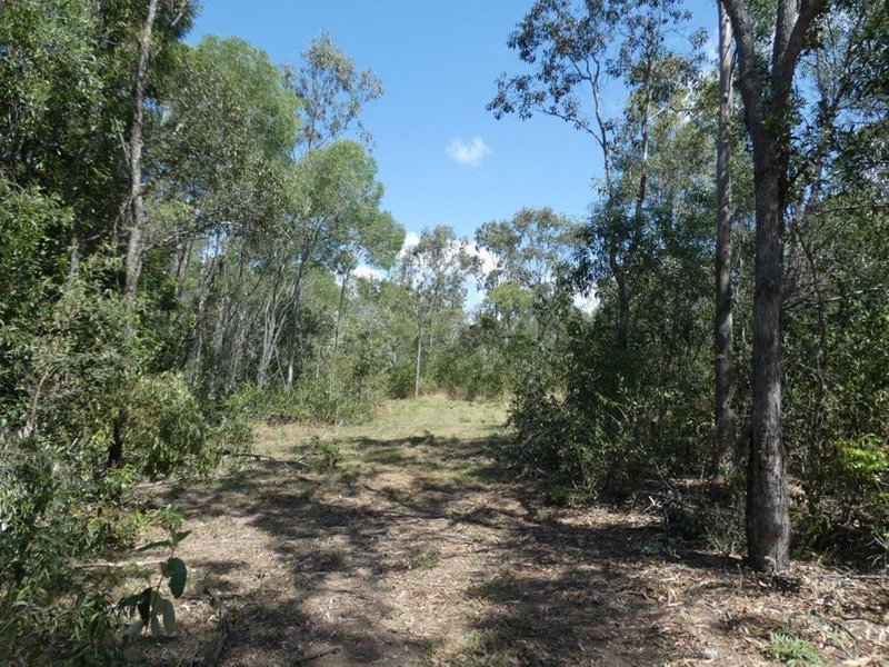 Photo - Lot 87 Bischoffs Road, Euleilah QLD 4674 - Image 22