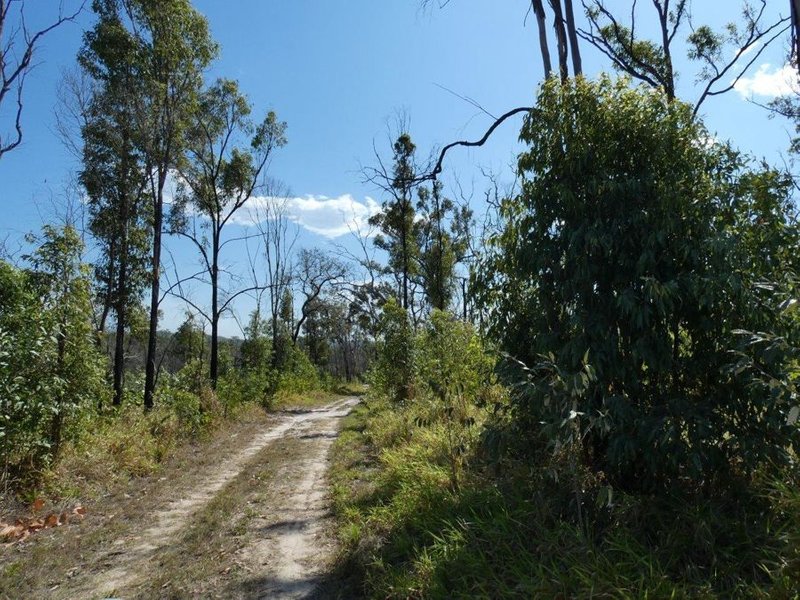 Photo - Lot 87 Mitchell Road, Mount Maria QLD 4674 - Image 11