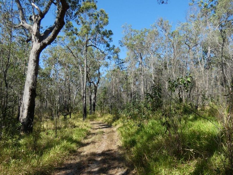 Photo - Lot 87 Mitchell Road, Mount Maria QLD 4674 - Image 14