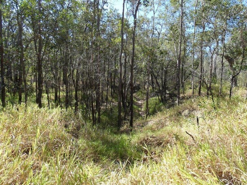 Photo - Lot 87 Mitchell Road, Mount Maria QLD 4674 - Image 16