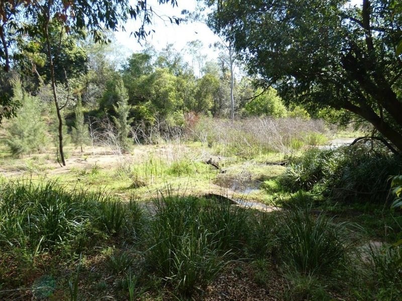 Photo - Lot 87 Mitchell Road, Mount Maria QLD 4674 - Image 21