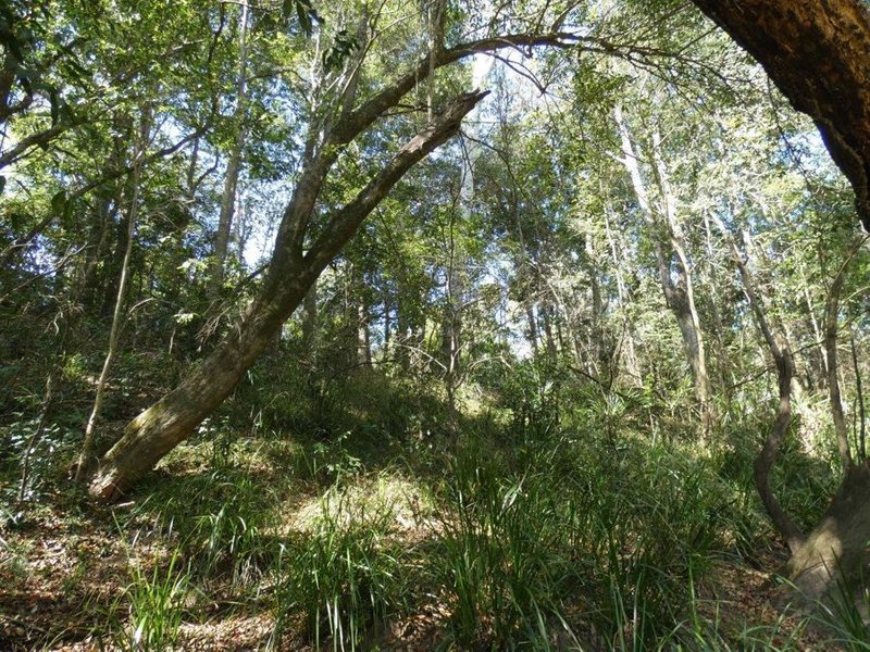 Photo - Lot 87 Mitchell Road, Mount Maria QLD 4674 - Image 22