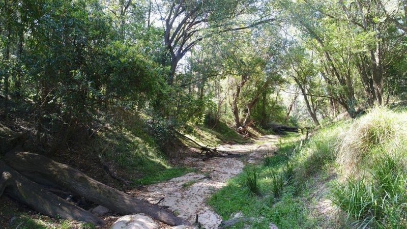 Photo - Lot 87 Mitchell Road, Mount Maria QLD 4674 - Image 23