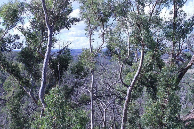 Lot 89 Ningee Nimbell Creek Road, Braidwood NSW 2622