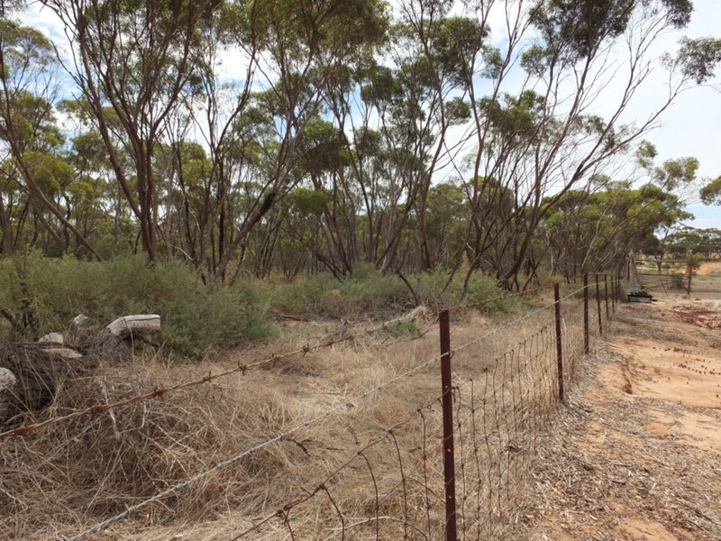 Photo - Lot 89 West Avenue, Alford SA 5555 - Image 2