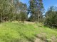 Photo - Lot 9, 10, Princes Highway, Cobargo NSW 2550 - Image 2